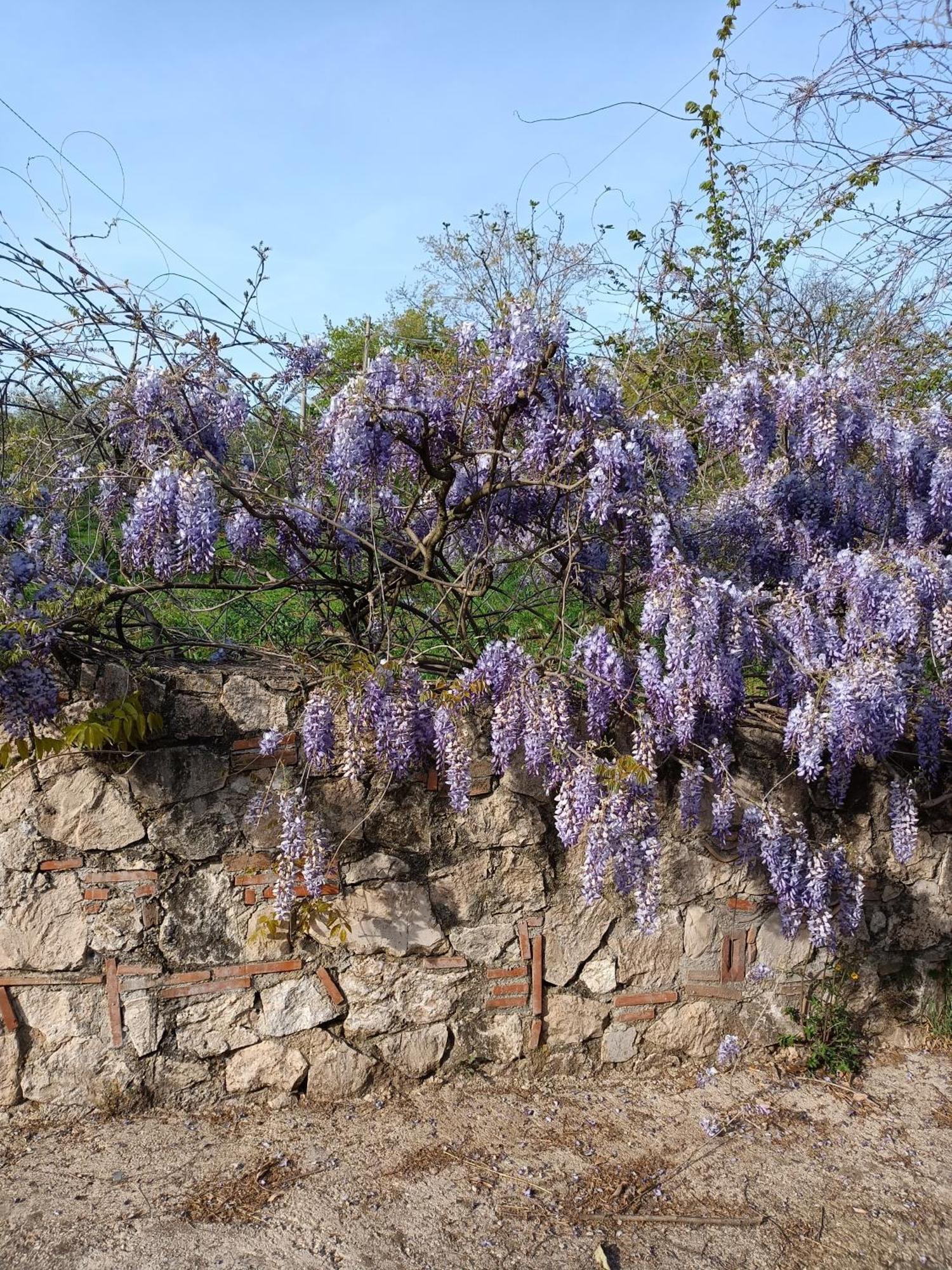 Colle Perazzoni Fiano Romano