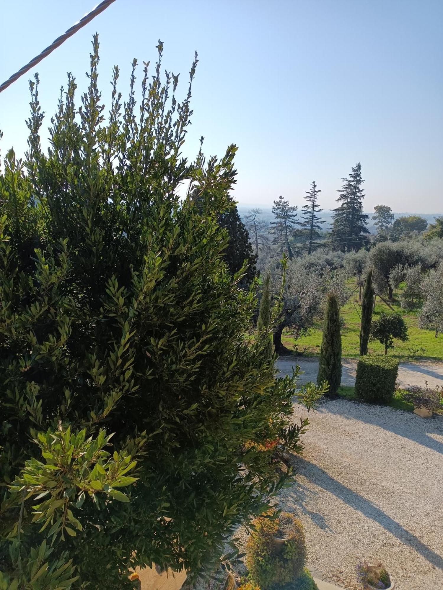 Colle Perazzoni Apartment