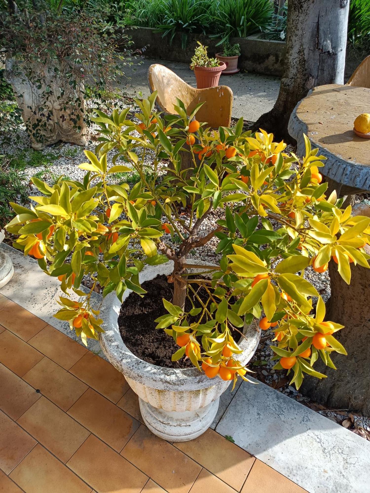Colle Perazzoni Apartment Fiano Romano