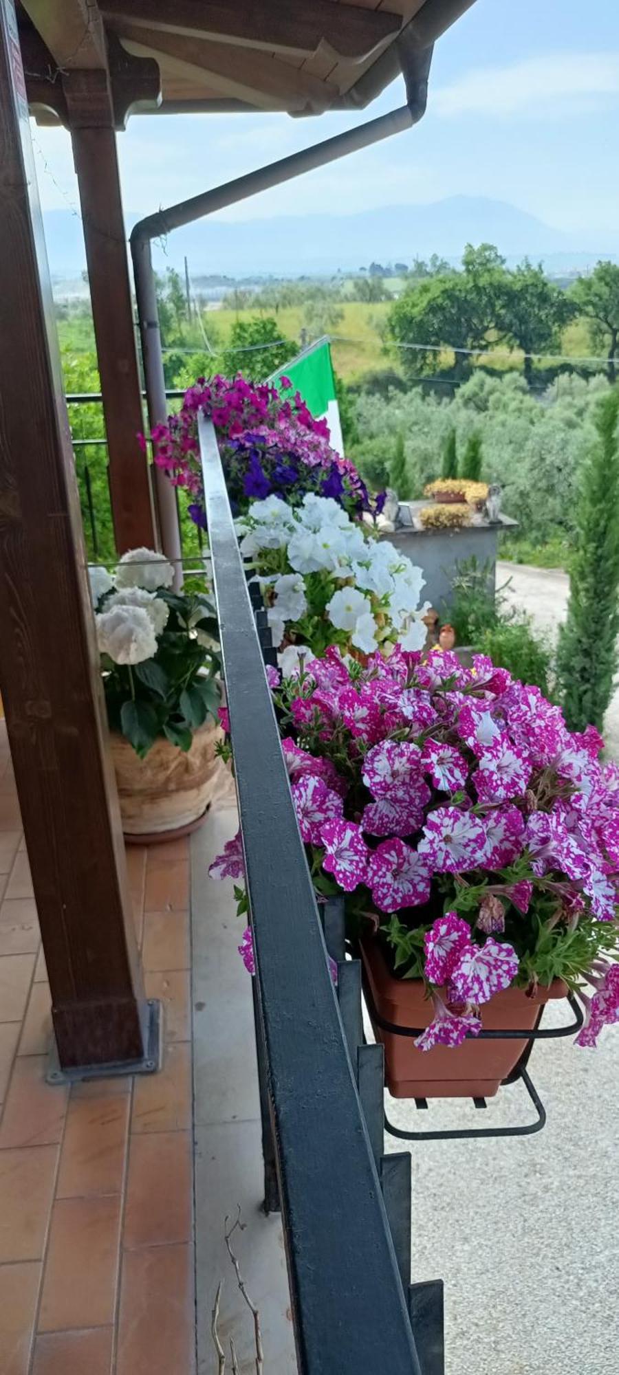 Colle Perazzoni * Fiano Romano
